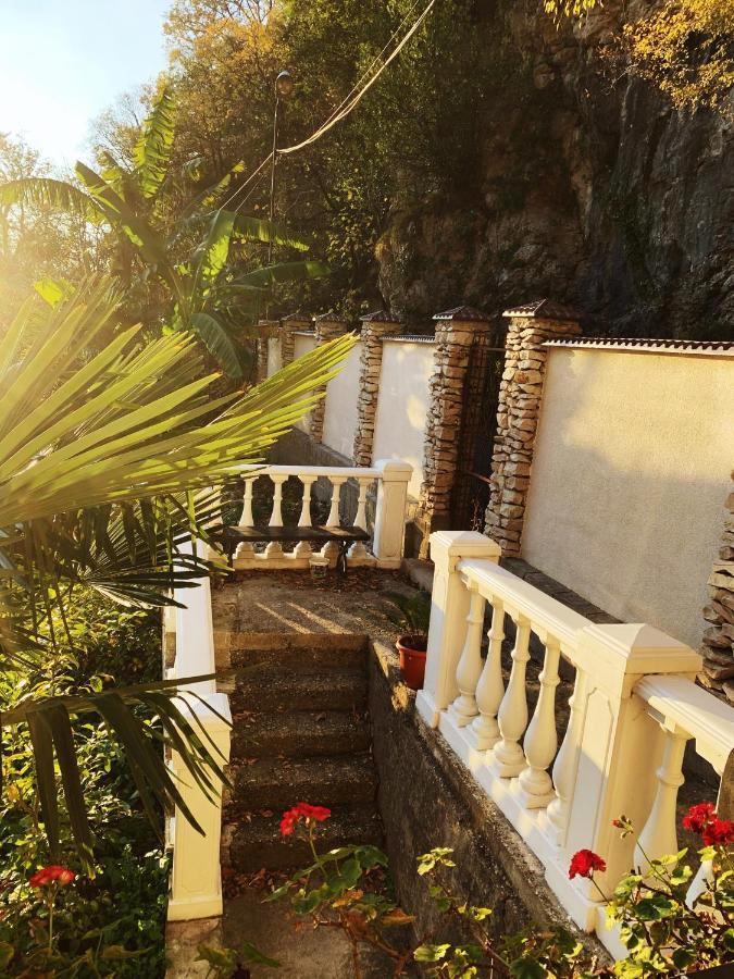 Guest House Chalet Agave Gagra Bagian luar foto